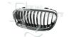 EQUAL QUALITY G1602 Radiator Grille